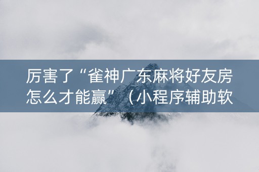 厉害了“雀神广东麻将好友房怎么才能赢”（小程序辅助软件)