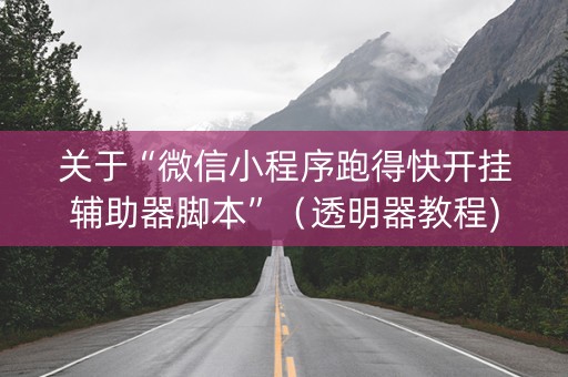 关于“微信小程序跑得快开挂辅助器脚本”（透明器教程)