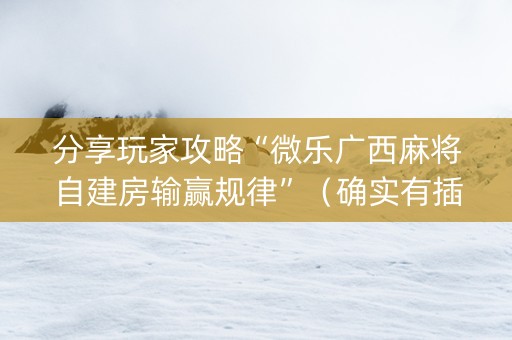 分享玩家攻略“微乐广西麻将自建房输赢规律”（确实有插件吗)
