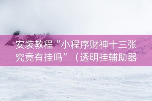 安装教程“小程序财神十三张究竟有挂吗”（透明挂辅助器)