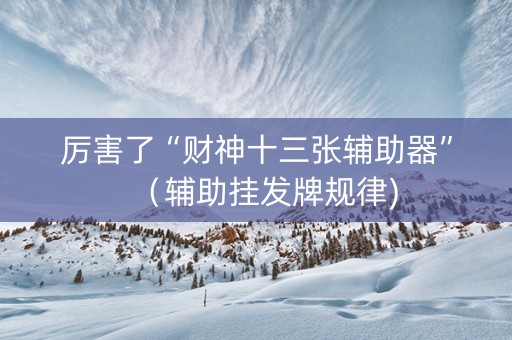 厉害了“财神十三张辅助器”（辅助挂发牌规律)