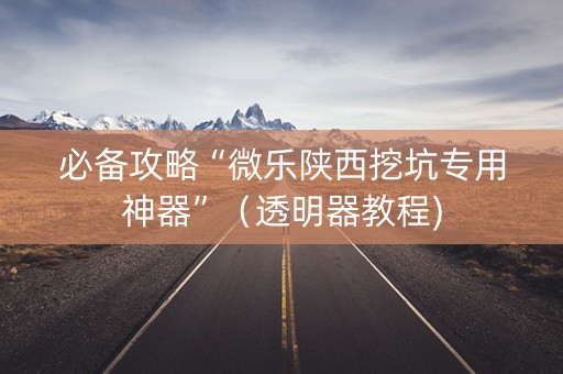 必备攻略“微乐陕西挖坑专用神器”（透明器教程)