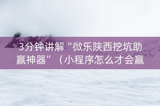 3分钟讲解“微乐陕西挖坑助赢神器”（小程序怎么才会赢)