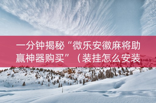 一分钟揭秘“微乐安徽麻将助赢神器购买”（装挂怎么安装)