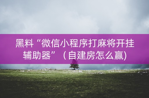 黑料“微信小程序打麻将开挂辅助器”（自建房怎么赢)