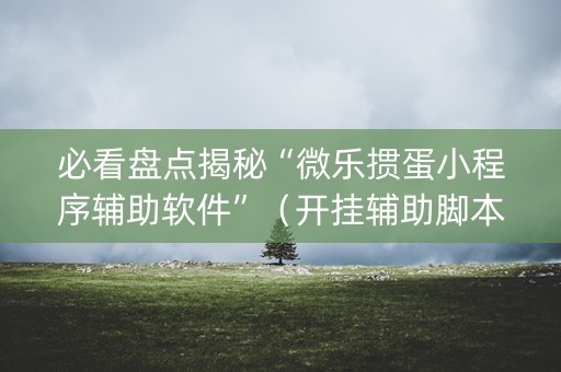 必看盘点揭秘“微乐掼蛋小程序辅助软件”（开挂辅助脚本)