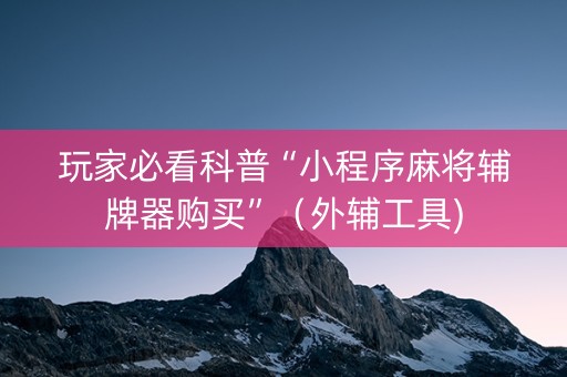 玩家必看科普“小程序麻将辅牌器购买”（外辅工具)