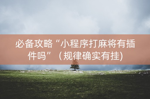 必备攻略“小程序打麻将有插件吗”（规律确实有挂)