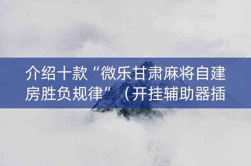 介绍十款“微乐甘肃麻将自建房胜负规律”（开挂辅助器插件)