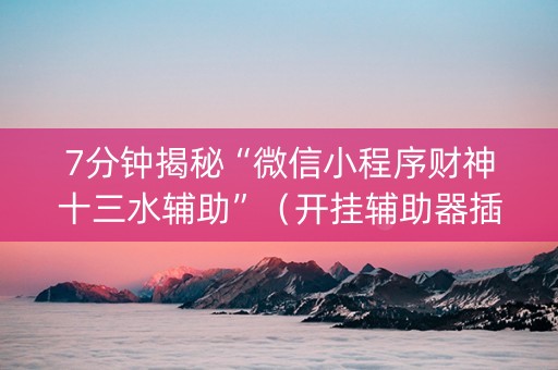 7分钟揭秘“微信小程序财神十三水辅助”（开挂辅助器插件)