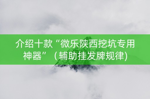 介绍十款“微乐陕西挖坑专用神器”（辅助挂发牌规律)