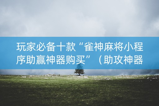 玩家必备十款“雀神麻将小程序助赢神器购买”（助攻神器)