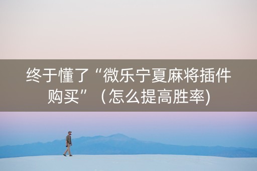 终于懂了“微乐宁夏麻将插件购买”（怎么提高胜率)