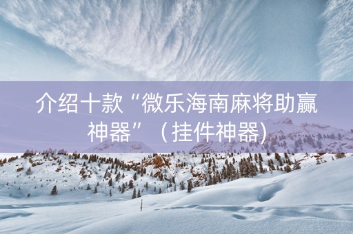 介绍十款“微乐海南麻将助赢神器”（挂件神器)