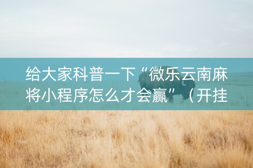 给大家科普一下“微乐云南麻将小程序怎么才会赢”（开挂辅助脚本)