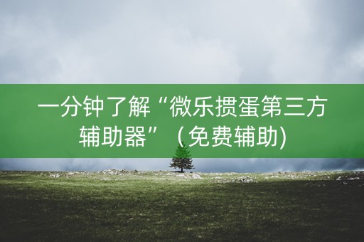 一分钟了解“微乐掼蛋第三方辅助器”（免费辅助)