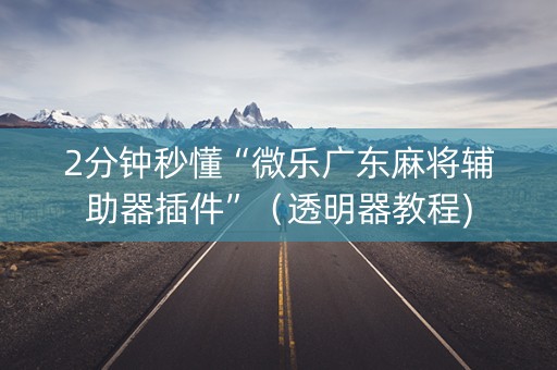 2分钟秒懂“微乐广东麻将辅助器插件”（透明器教程)
