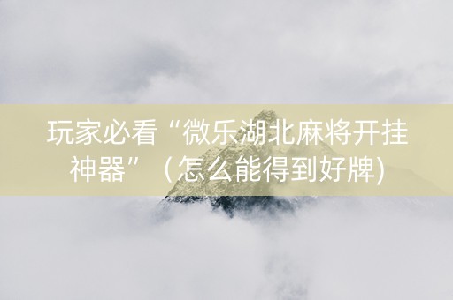 玩家必看“微乐湖北麻将开挂神器”（怎么能得到好牌)
