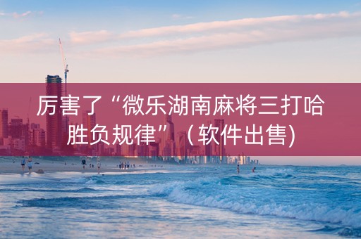 厉害了“微乐湖南麻将三打哈胜负规律”（软件出售)