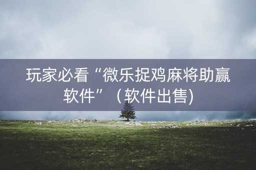 玩家必看“微乐捉鸡麻将助赢软件”（软件出售)