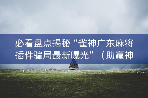 必看盘点揭秘“雀神广东麻将插件骗局最新曝光”（助赢神器)