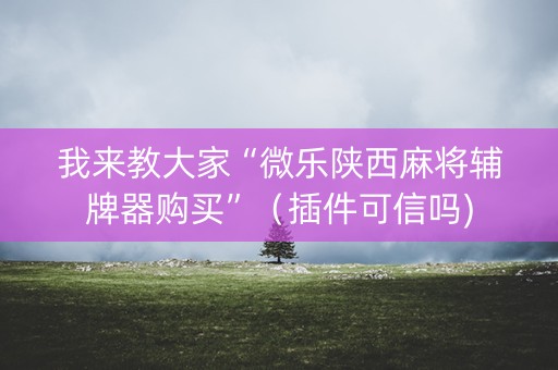 我来教大家“微乐陕西麻将辅牌器购买”（插件可信吗)
