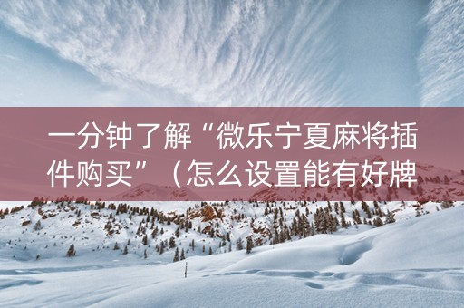 一分钟了解“微乐宁夏麻将插件购买”（怎么设置能有好牌)