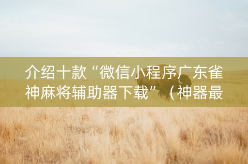 介绍十款“微信小程序广东雀神麻将辅助器下载”（神器最新免费)