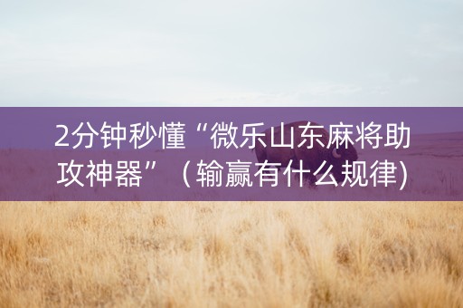 2分钟秒懂“微乐山东麻将助攻神器”（输赢有什么规律)