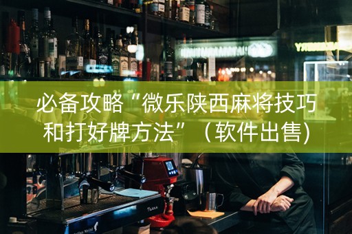 必备攻略“微乐陕西麻将技巧和打好牌方法”（软件出售)