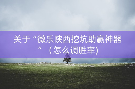 关于“微乐陕西挖坑助赢神器”（怎么调胜率)