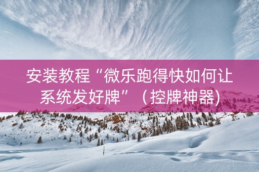 安装教程“微乐跑得快如何让系统发好牌”（控牌神器)