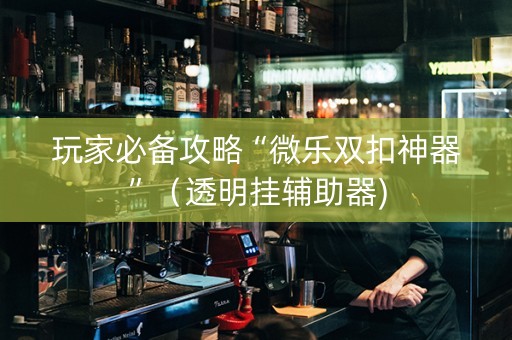玩家必备攻略“微乐双扣神器”（透明挂辅助器)