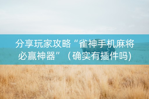 分享玩家攻略“雀神手机麻将必赢神器”（确实有插件吗)