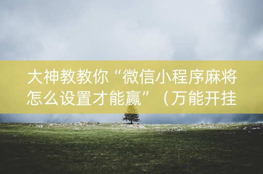 大神教教你“微信小程序麻将怎么设置才能赢”（万能开挂神器)