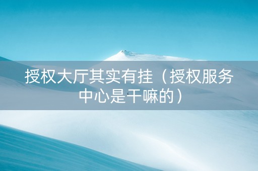 授权大厅其实有挂（授权服务中心是干嘛的）