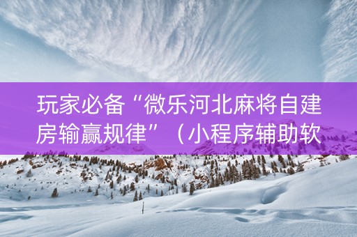 玩家必备“微乐河北麻将自建房输赢规律”（小程序辅助软件)