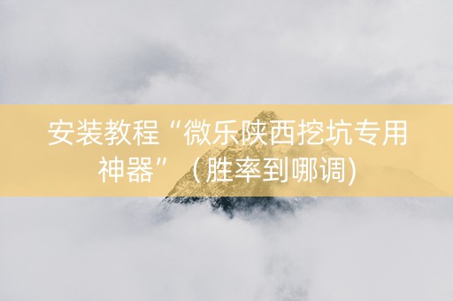 安装教程“微乐陕西挖坑专用神器”（胜率到哪调)