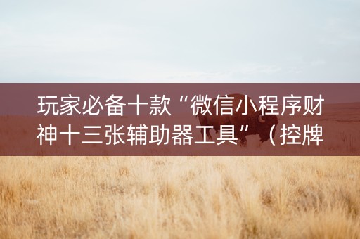 玩家必备十款“微信小程序财神十三张辅助器工具”（控牌神器)