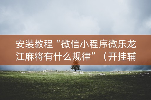 安装教程“微信小程序微乐龙江麻将有什么规律”（开挂辅助插件)