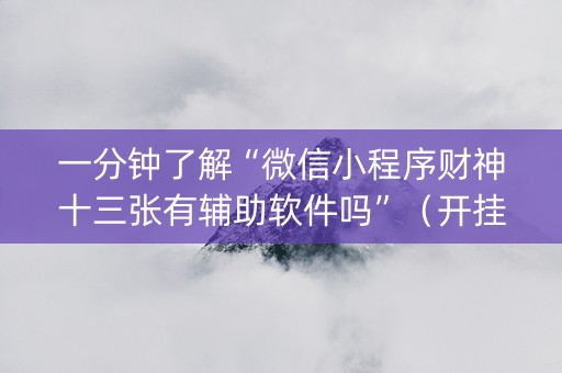 一分钟了解“微信小程序财神十三张有辅助软件吗”（开挂辅助插件)