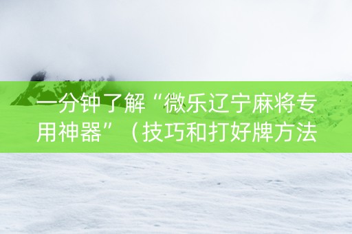 一分钟了解“微乐辽宁麻将专用神器”（技巧和打好牌方法)