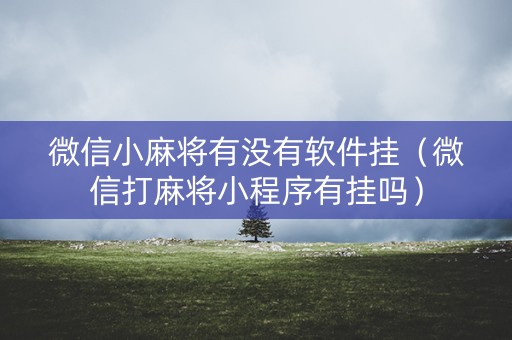 微信小麻将有没有软件挂（微信打麻将小程序有挂吗）