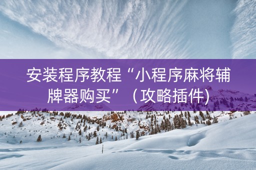 安装程序教程“小程序麻将辅牌器购买”（攻略插件)