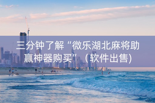 三分钟了解“微乐湖北麻将助赢神器购买”（软件出售)