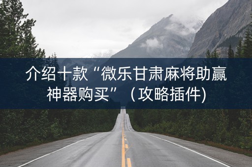 介绍十款“微乐甘肃麻将助赢神器购买”（攻略插件)