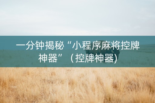 一分钟揭秘“小程序麻将控牌神器”（控牌神器)