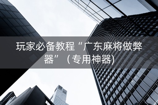 玩家必备教程“广东麻将做弊器”（专用神器)