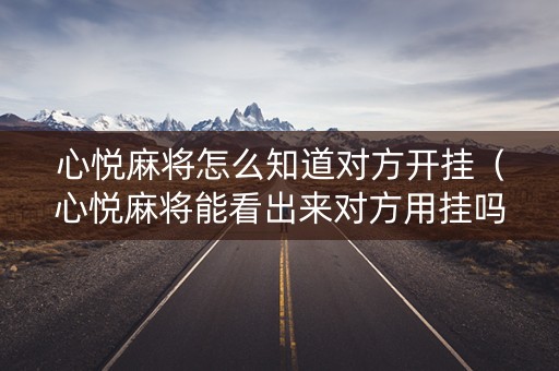 心悦麻将怎么知道对方开挂（心悦麻将能看出来对方用挂吗）