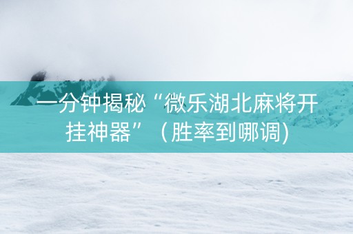 一分钟揭秘“微乐湖北麻将开挂神器”（胜率到哪调)